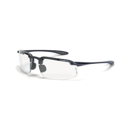 Clear ES4 Safety Glasses